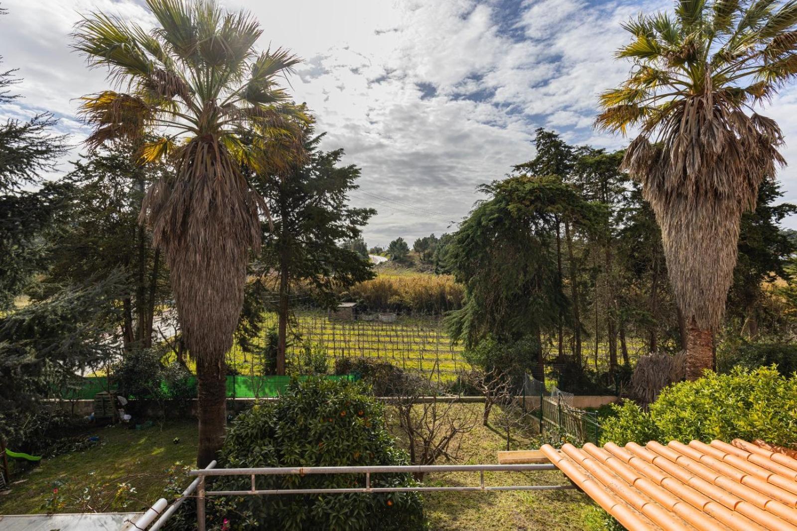 Hidden Garden Near The Castle Villa Óbidos Dış mekan fotoğraf